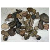Rocks & Minerals
