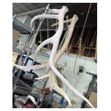 Elk Sheds, 40" Long