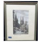 Vintage Framed Photo of Spearfish Canyon, SD