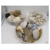 Three Tubs of Better Sea Shells - NOTE