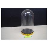Glass Dome Display Box