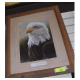 Framed Bald Eagle Print