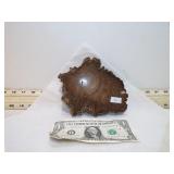 PETRIFIED WOOD