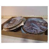 **7 COLLECTOR PLATES