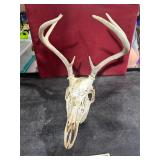 **6 POINT EUROPEAN MOUNT