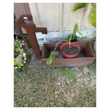 **PLANTER BOX W/PLANT