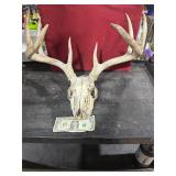 **10 POINT EUROPEAN MOUNT