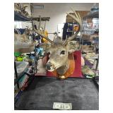 **9 POINT BUCK MOUNT