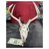 **6 POINT EUROPEAN MOUNT