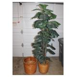 Silk Fig Tree  70"& Planter Basket