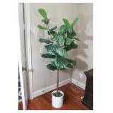 Silk Tree 75"