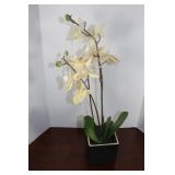Silk Flower in Ceramic Vase  24 x 5