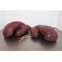Vintage JC Higgins Boxeing Gloves#1425