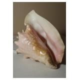 Vintage Shell Lamp 8 1/2 x 9 1/2