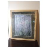 Framed Nature artwork 29 x 33