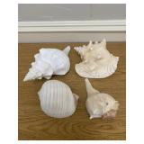 4pc lot of Large Conch Sea Shells, as shown, see a