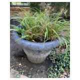 Plastic Planter Pot With Plants 17 1/2 x 23