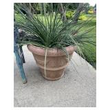 Plastic Planter Pot 21 x 28 with Plant
