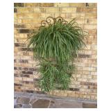 Hanging Spider Plant 46 x 34