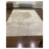 Area Rug 7 x 10 x 10