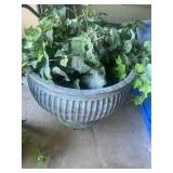 Silk Plants & Plastic Pot