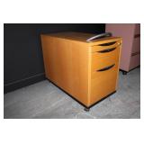File Cabinet on Wheels Rollin Cabinet 3 Drawer 24