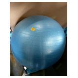 Exercise Ball Blue