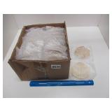 Box Real Scallop Seashells for Art / Decor