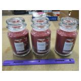 Lot 3 New Yankee Candles Sparkling Cinnamon