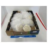 Large Group Seashells Real Seashells for Decor