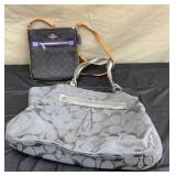 Coach Purse and Bag