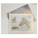 Print of Sea Biscuit Horse and Colt Print