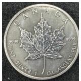 1 Troy Ounce Fine Silver 5 Dollars Coin