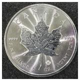 1 Troy Ounce Fine Silver 5 Dollars Coin
