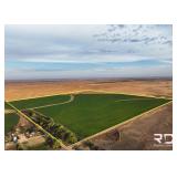 159+/- Acres Dryland/CRP in Kiowa County, Ks