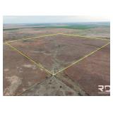 161+/- Acres Pasture/Hunting in Comanche Co, Ks