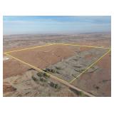 160+/- Acres Pasture/Hunting in Comanche Co, Ks