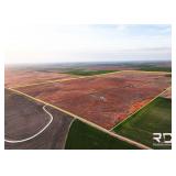 152+/- Acres CRP Grassland in Kiowa County, Ks