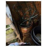 Barrel with Garden Trellises?