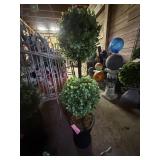 Faux Plant with Planter