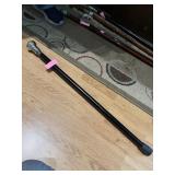 Walking Stick