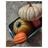 Seasonal Decor