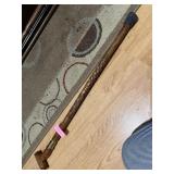 Walking Stick