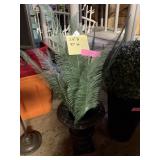Faux Plant with Planter