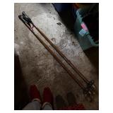 Ski Poles