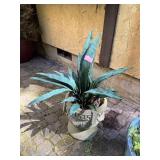 Planter