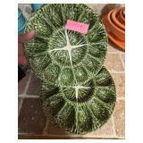 Cabbage Leaf Dishware