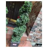 Faux Plant