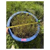 Planter