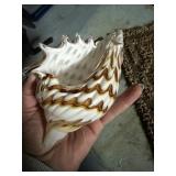 Handblown Glass